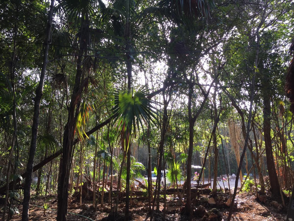 Cheel Lodge & Camping Puerto Morelos Exterior foto