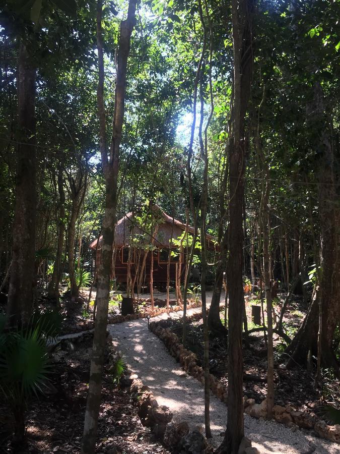 Cheel Lodge & Camping Puerto Morelos Exterior foto