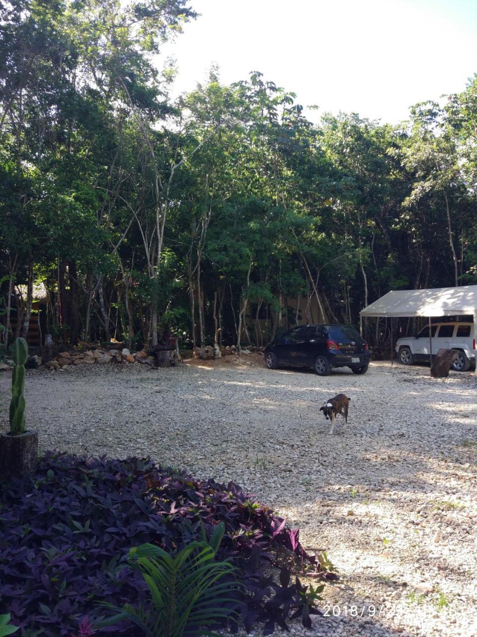 Cheel Lodge & Camping Puerto Morelos Exterior foto